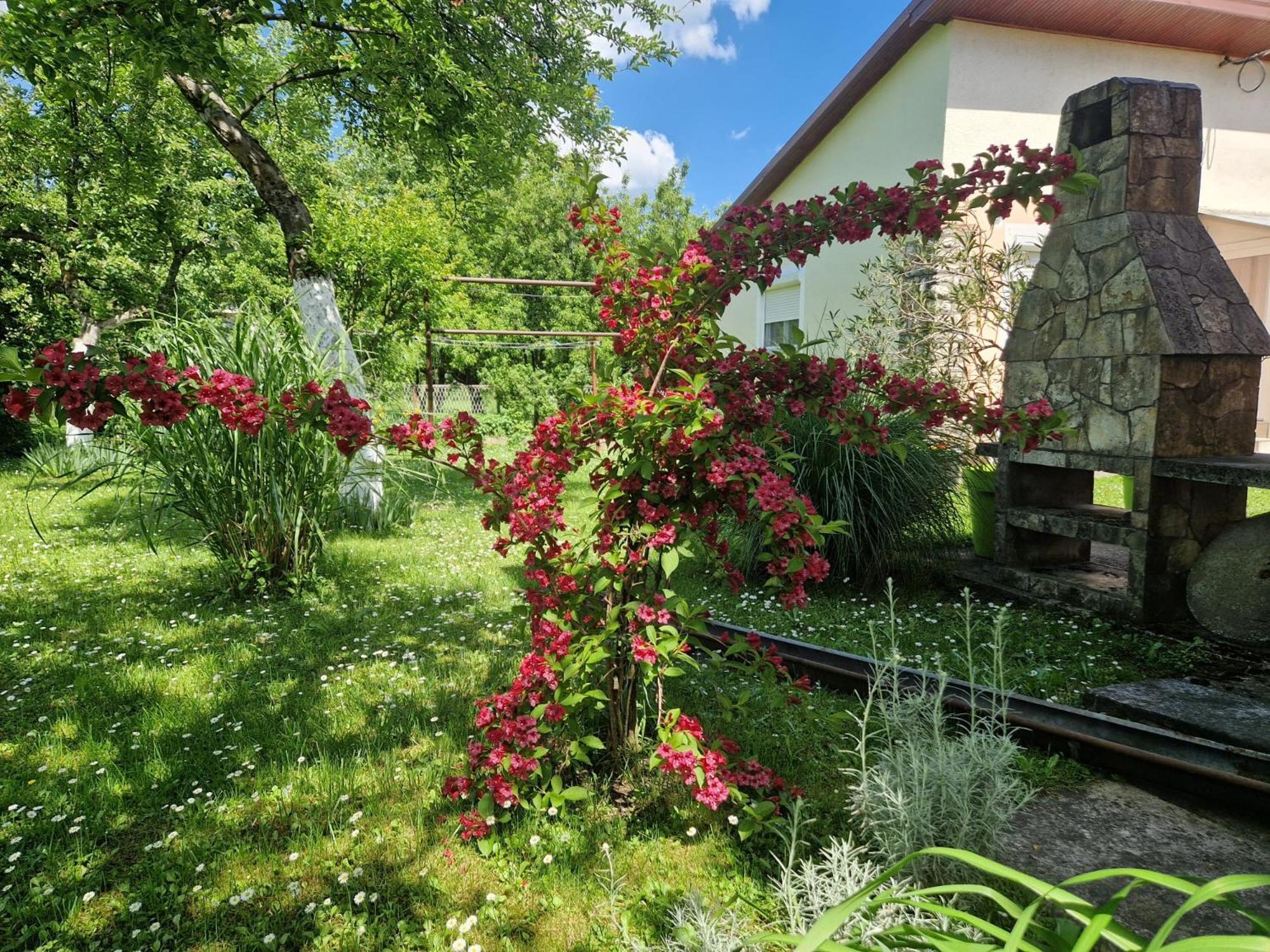 Studio Apartman Marica - Ogulin, Hrvatska 외부 사진