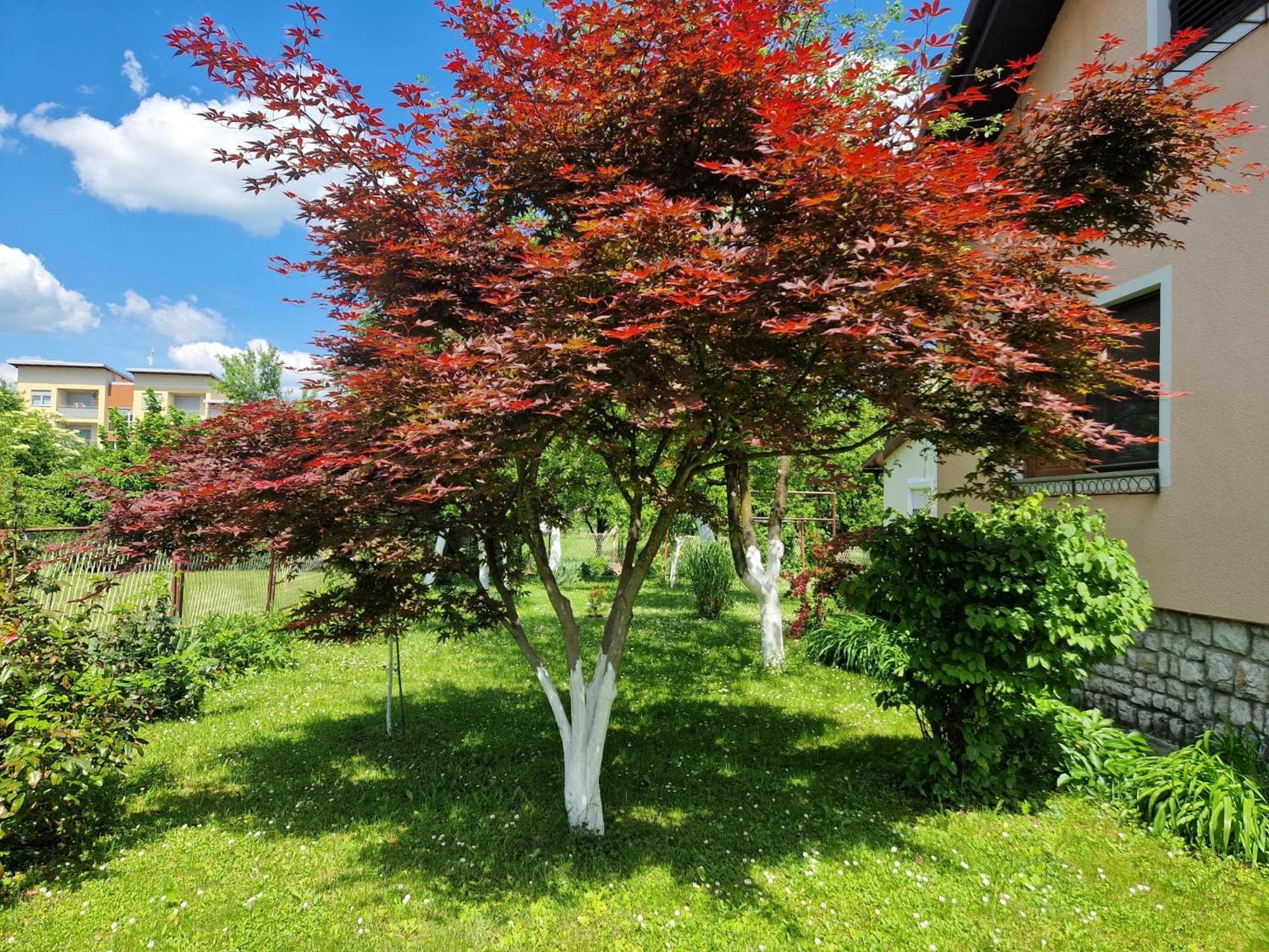 Studio Apartman Marica - Ogulin, Hrvatska 외부 사진